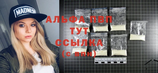 молекула духа Новокубанск