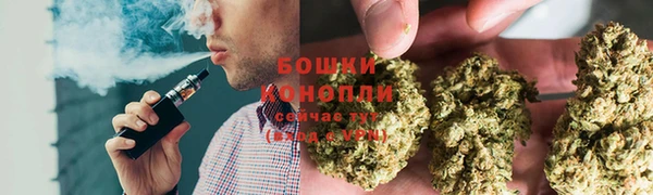 молекула духа Новокубанск