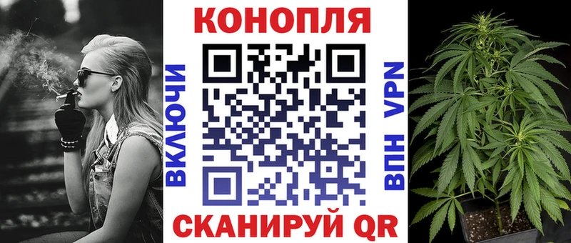 Шишки марихуана гибрид  купить наркотики сайты  Зея 